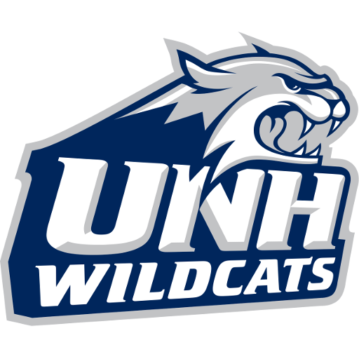 New Hampshire logo