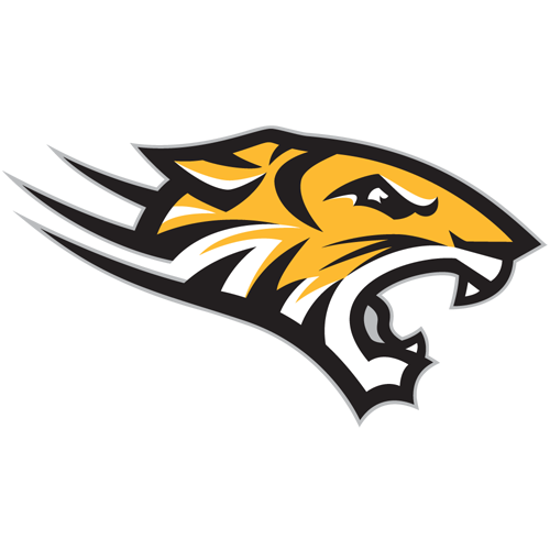 Towson logo