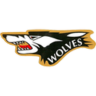algoma logo