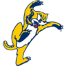 belleville logo