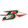 berlin logo