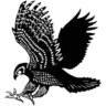brookwood logo