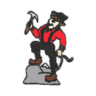 cambriafri logo