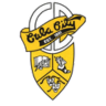 cubacity logo