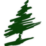 dceverest logo