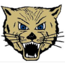 lakemills logo