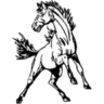 monticello logo