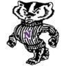 niagara logo
