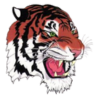 ripon logo