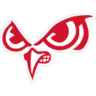 slinger logo