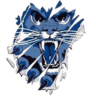 southweste logo