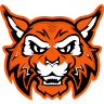 verona logo