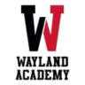 waylandaca logo