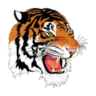 webster logo